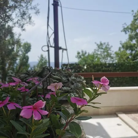 Prvi Red Do Mora Covic Apartmán