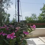 Prvi Red Do Mora Covic Appartement
